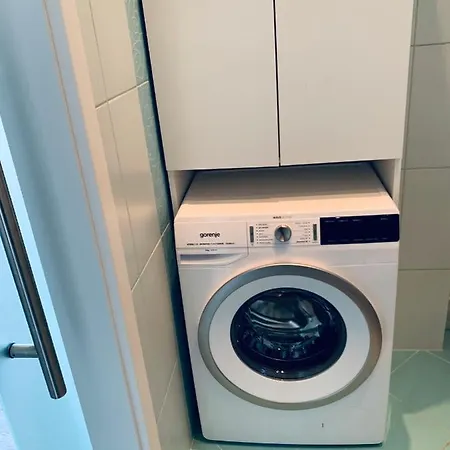 Camelia Apartament