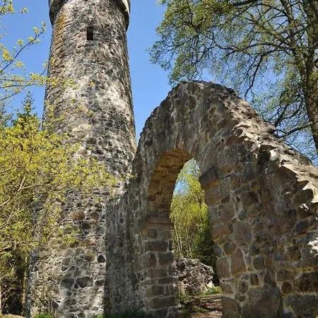 Апартаменты Camelia *