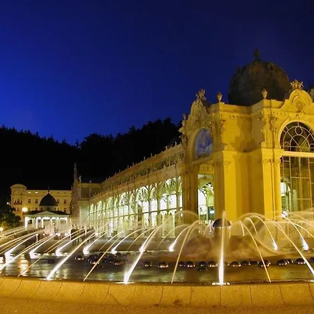 Camelia Апартаменты Марианске-Лазне