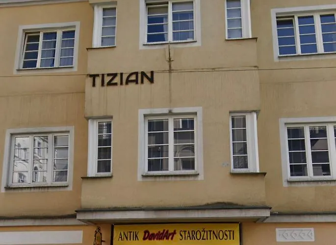 Camelia 마리안스케 라즈네