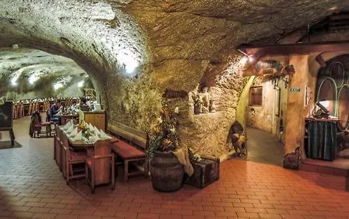 Camelia 마리안스케 라즈네