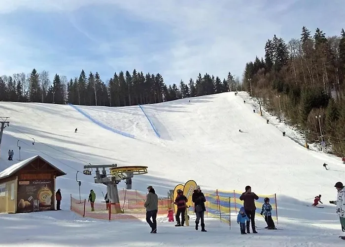 Camelia 마리안스케 라즈네